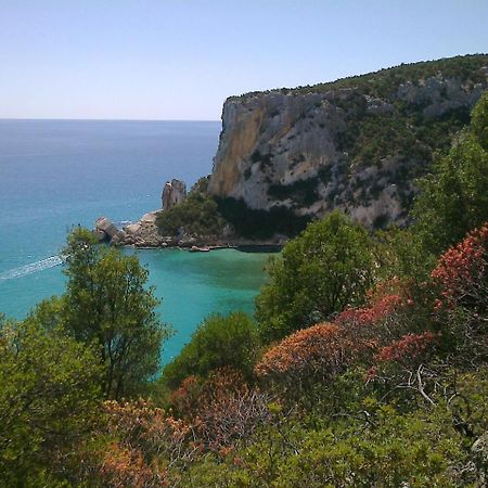 Apartment Altomare Cala Gonone Exterior photo